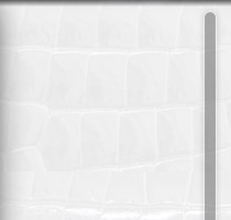 網(wǎng)站無(wú)滾拉條設(shè)計(jì)